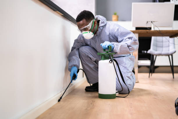 Emergency Pest Control Services in East Camden, AR